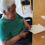 Udazken koloreek gainezka egin dute Txurdinagabarri Egoitzan width=