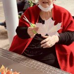 Udazken koloreek gainezka egin dute Txurdinagabarri Egoitzan width=