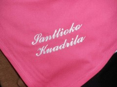 La Residencia de ancianos Santiago de Villabona, de fiesta