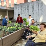 Barandiaran Egoitza: baratzetik mahaira Durangoko Joxe Miel Barandiaran Egoitzaren baratzea