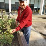 Barandiaran Egoitza: baratzetik mahaira Durangoko Joxe Miel Barandiaran Egoitzaren baratzea