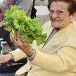 Barandiaran Egoitza: baratzetik mahaira Durangoko Joxe Miel Barandiaran Egoitzaren baratzea