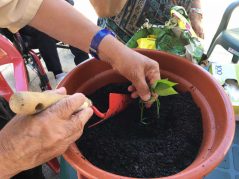 Verano 2019 en la Residencia de mayores Txurdinagabarri de Bilbao