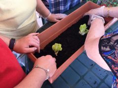 Verano 2019 en la Residencia de mayores Txurdinagabarri de Bilbao