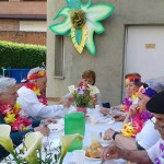 Fiesta de primavera