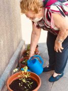 Taller de jardinería en la Residencia de mayores Txurdinagabarri