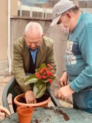 Loreak, barazkiak eta fruta arbolak gure terrazan Loreak, barazkiak eta fruta arbolak gure terrazan