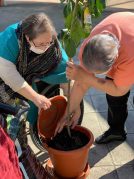 Taller de jardinería en la Residencia de mayores Txurdinagabarri