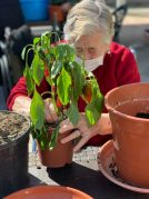 Taller de jardinería en la Residencia de mayores Txurdinagabarri