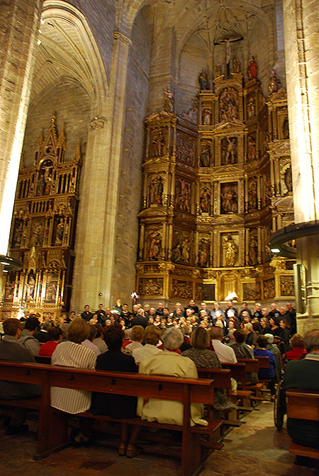 Día-del-Daño-Cerebral-San-Sebastián-2017