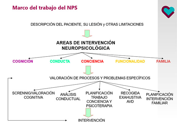 Neuropsikologiako profesionalak diziplina anitzeko taldeen koordinazioan Intervención-neuropsicológica
