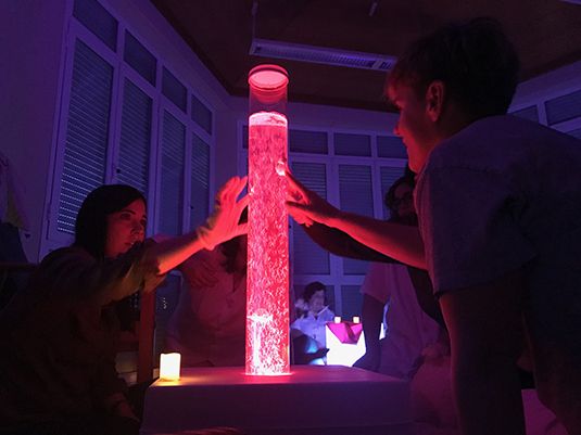 Aita Mennik topaketa zientifiko bat antolatu du autismoa eta desgaitasun intelektuala duten pertsonen jokabideko nahasmenduak aztertzeko