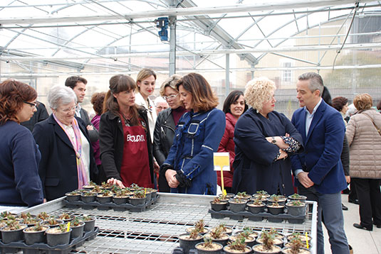 Osasun mentaleko errehabilitazio proiektu berritzailea: baratzezaintza terapeutikoa eta okupazionala Osasun mentaleko errehabilitazio proiektu berritzailea: baratzezaintza terapeutikoa eta okupazionala
