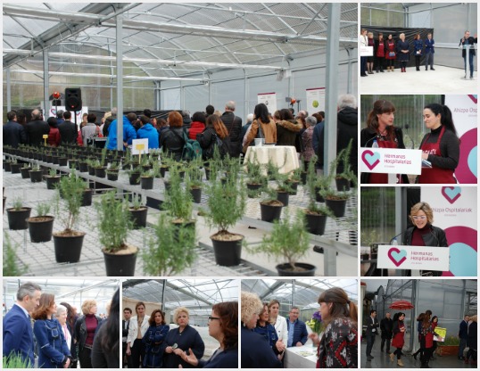 Proyecto innovador de rehabilitación en salud mental: horticultura terapéutica y ocupacional Proyecto innovador de rehabilitación en salud mental: horticultura terapéutica y ocupacional