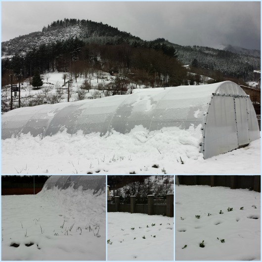 Actividades lúdicas en la nieve como parte de la terapia y la rehabilitación invernadero