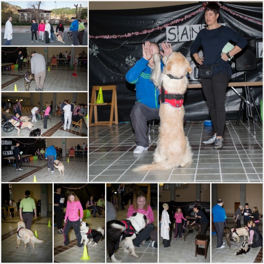 Perros en el Hospital, tiempo de aprendizaje, afecto y relajación
