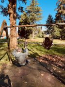 Udazkeneko irteerak Akarlanda parkera