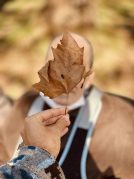 Udazkeneko irteerak Akarlanda parkera
