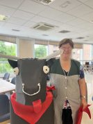 Un año más, el encierro recorre Txurdinagabarri Un año más, el encierro recorre Txurdinagabarri