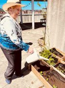 Un nuevo aire para la azotea de la Residencia Txurdinagabarri Un nuevo aire para la azotea de la Residencia Txurdinagabarri